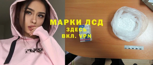прущие грибы Струнино