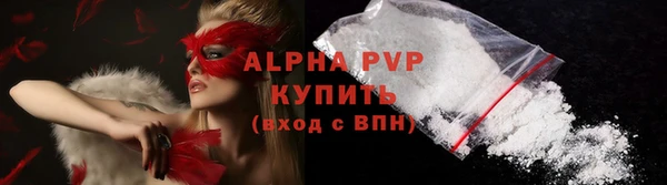 прущие грибы Струнино