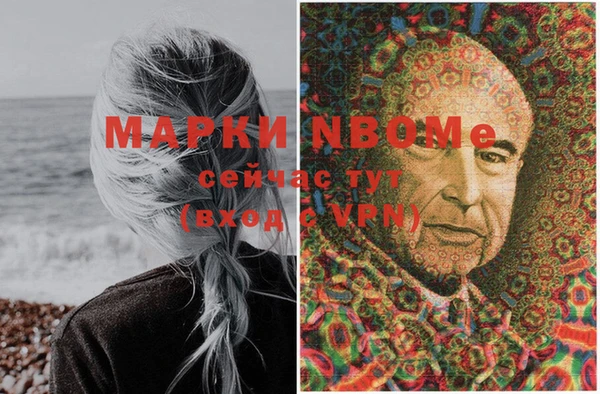 прущие грибы Струнино