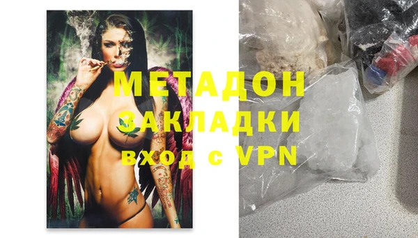 прущие грибы Струнино