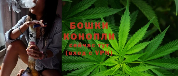 прущие грибы Струнино