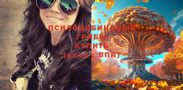 прущие грибы Струнино