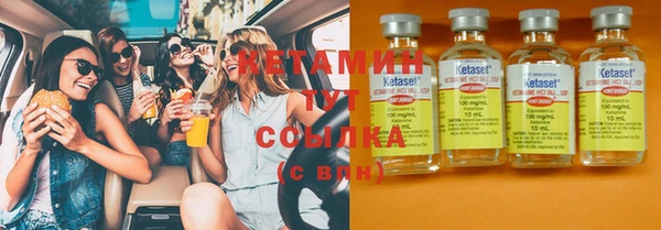 прущие грибы Струнино