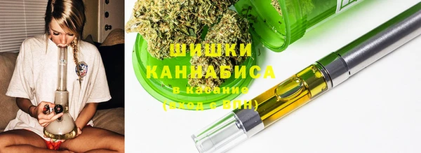 прущие грибы Струнино