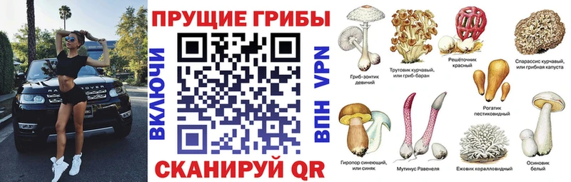 MEGA рабочий сайт  сколько стоит  Адыгейск  Галлюциногенные грибы ЛСД 